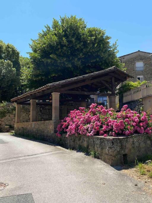 La Maison D Evahlia Creissels Esterno foto